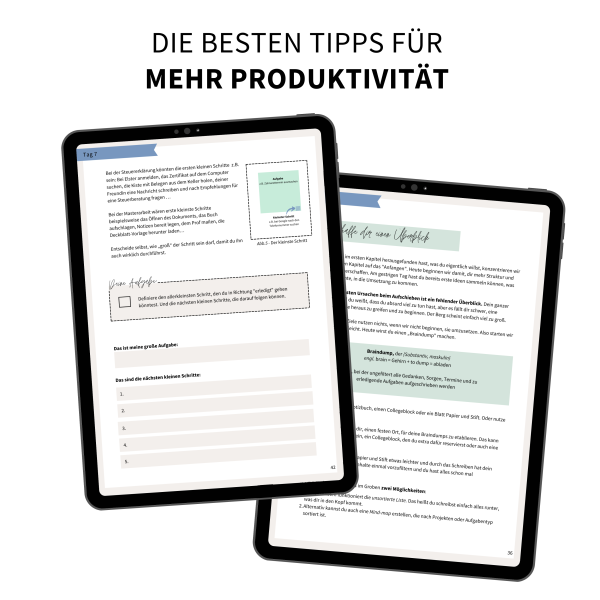 21-Tage-Produktivitäts-Challenge | E-Book – Bild 3